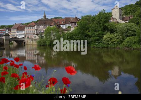 Aiuole al Kocher, Schwaebisch Hall, Kocher Valley, papavero, coccole di mais, Fiordaliso, primavera, maggio, Johanniterkirche, casa in legno, città vecchia Foto Stock