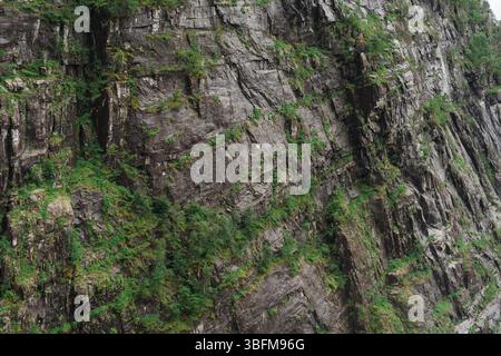 Parete di roccia verticale testurizzata con muschio verde nel fiordo norvegese vicino a Bergen Foto Stock