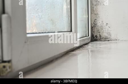 colonizzazione dello stampo sulla superficie della finestra fredda. La crescita di funghi indesiderati rivela una persistente umidità e un isolamento insufficiente nella stanza. Spore di muffa scure che si diffondono sulla diga Foto Stock