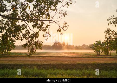 L'alba dorata risplende sulla nebbia dei terreni agricoli in campagna Foto Stock