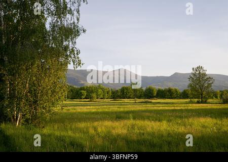 Una vista panoramica del picco Sniezka sull'albero. Foto Stock