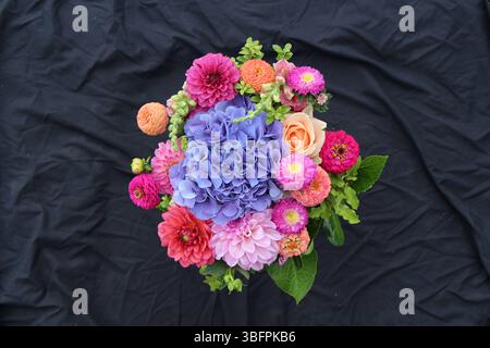 Fiori freschi Foto Stock