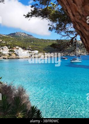 Acque turchesi e trasparenti circondate da lussureggianti pini nell'idilliaco Sant Elm, Maiorca. Un tranquillo paesaggio mediterraneo che evoca calma, pace, Foto Stock