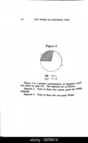 Lo studio del reverendo Daniel Jenkins Williams del 1913 indaga sull'adattamento della comunità gallese alla vita a Columbus, Ohio, con particolare attenzione alle loro pratiche religiose e all'integrazione sociale. Williams fu ministro della Chiesa metodista calvinistica gallese dal 1907 al 1911. Foto Stock