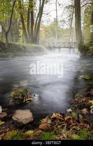 Sorgente del fiume Bosna, Sarajevo-Ilidza. In una mattinata fresca, l'eterea nebbia si libra sul tranquillo fiume, circondato da alberi verdi. Un pittoresco Foto Stock
