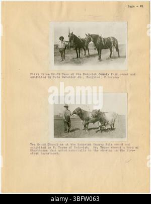 La pagina 53 della relazione del 1927 di Robert W. Vance discute il ruolo dei servizi di estensione nell’aiutare gli agricoltori ad adattarsi ai cambiamenti delle politiche e dei mercati agricoli nella contea di Sedgwick. Foto Stock