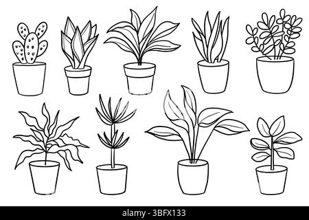 Vettoriale di disegno della linea di piante da casa impostato in vasi. Fiori esotici al coperto con steli e foglie. Monstera, ficus, pothos, yucca, dracaena, cactus for ho Illustrazione Vettoriale