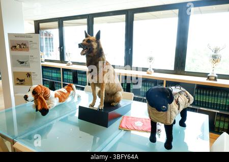 MUSEO DEI CANI AUBERVILLIERS FRANCIA Foto Stock