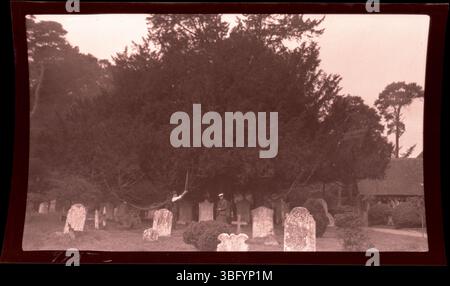 Un antico albero di tasso nel cimitero di St. Giles, Stoke Poges, Inghilterra, fotografato nel 1913. Si ritiene che sia l'albero sotto il quale Thomas Gray scrisse la sua famosa poesia. Gli Arrases visitarono Stoke Poges durante il loro tour europeo del 1913. Foto Stock