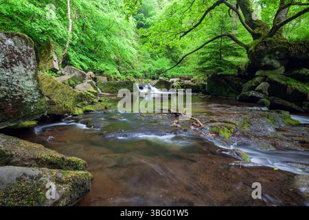 West Beck vicino a Goathland nel North Yorkshire, Inghilterra. Foto Stock