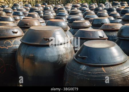 Jangdokdae, Jars tradizionale coreano piattaforma per croccate di salse e condimenti al villaggio folk Naganeupseong Nagan a Suncheon, Corea Foto Stock