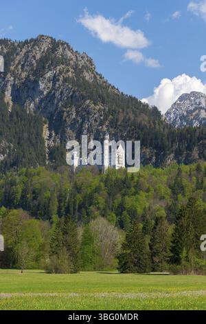Il castello di Neuschwanstein torreggia su un prato verde con un suggestivo sfondo di montagna sotto un cielo blu, Schwangau vicino a Fuessen, quartiere Ostallgaeu, swab Foto Stock