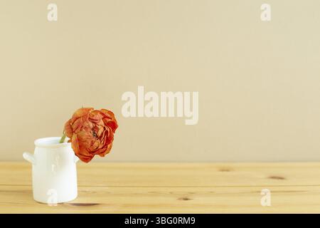 Fiore rosso arancio secco in vaso su tavola di legno con fondo beige. Interno domestico. Spazio per la copia Foto Stock