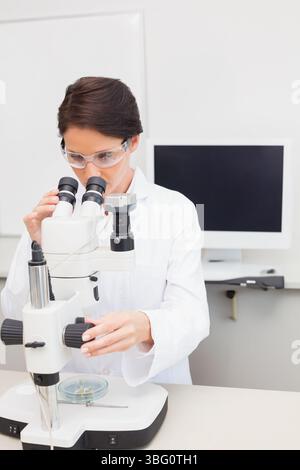 Scienziata donna che indossa un camice da laboratorio che esamina i campioni delle capsule di Petri attraverso lo stereomicroscopio in laboratorio Foto Stock