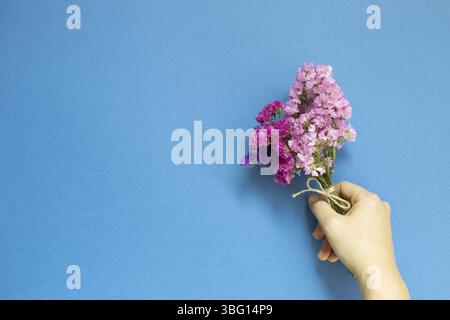 Mano di tenere fiori rosa viola Statice su sfondo blu. Composizione floreale, disposizione piatta, vista dall'alto, spazio di copia Foto Stock