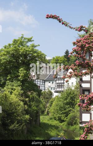 Veduta della città di Bad Muenstereifel, Germania, Europa Foto Stock