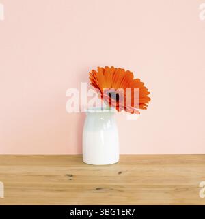 Fiore di gerbera arancione in vaso su tavolo di legno con fondo rosa. Composizione floreale, spazio per la copia Foto Stock
