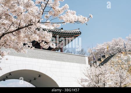 Porta della Fortezza di Miryang Eupseong con fiori di ciliegio a Miryang, Corea Foto Stock