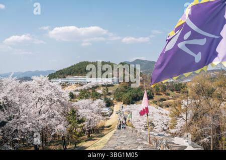 Fortezza di Miryang Eupseong con fiori di ciliegio a Miryang, Corea Foto Stock