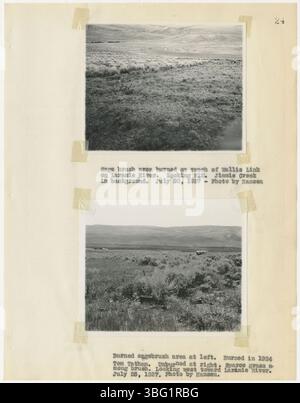 Pagina 61 del rapporto annuale 1927 per il servizio di estensione della contea di Larimer, scritto da D. C. Bascom e Lola F. Schlessman, parla di pratiche agricole locali, gestione delle aziende agricole e sensibilizzazione educativa. Foto Stock