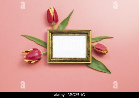 Cornice fotografica vuota con fiori di tulipano rosso su sfondo rosso corallo. Composizione floreale, posa piatta, vista dall'alto, spazio per la copia Foto Stock