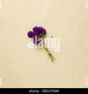 Mazzo di fiori viola color amaranto su fondo in tessuto beige. Disposizione piatta, vista dall'alto, spazio copia Foto Stock