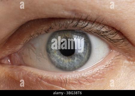 Pupilla umana di colore blu primo piano Foto Stock