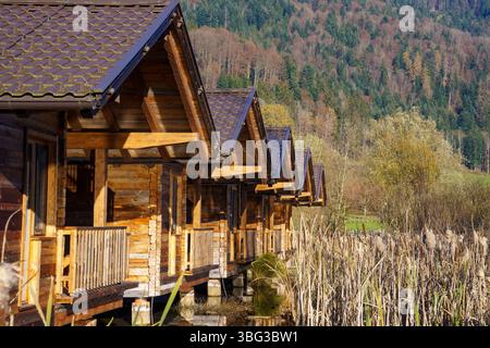 Una fila di moderne case in legno con balconi si erge su palafitte nella brughiera, circondate da larghe foglie (Typha Latifolia). Una forcella autunnale Foto Stock