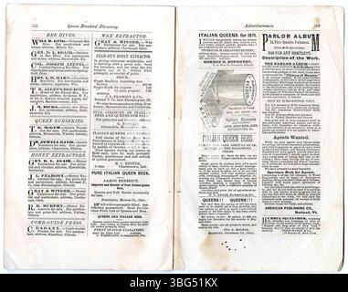 Pagina 17 dell'edizione del 1° settembre 1871 del National Bee Journal continua a discutere vari aspetti dell'apicoltura, con un'enfasi sulla crescente popolarità dell'apicoltura nelle comunità agricole. Foto Stock