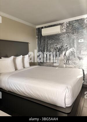 Equus Inn Hotel. Un letto king size con fresche lenzuola bianche si trova sotto un grande murale bianco e nero di due cavalieri a cavallo in una fattoria. Foto Stock