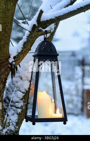 Grande lanterna di ferro appesa su un ramo d'albero nel giardino. Decorazioni invernali per feste all'aperto. Foto Stock