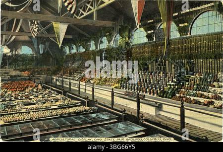 L'esposizione orticola alla fiera statale dell'Ohio, tenutasi nel 1913, era un'attrazione popolare che mostrava varie piante, fiori e risultati agricoli presso la fiera. Foto Stock
