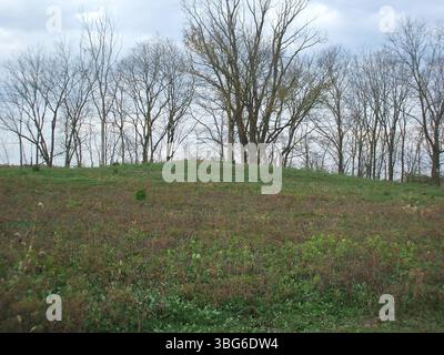 Prairie Oaks Mound FR78 si trova lungo il Mound Trail nel Prairie Oaks Metro Park, tra Beach Road e Patterson Road, vicino ad Amity Road. Si tratta di un importante tumulo di sepoltura degli indiani d'America. Foto Stock