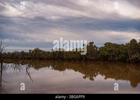 Fiume Warrego a Cunnamulla Foto Stock