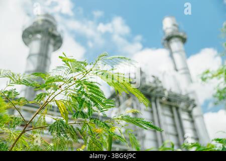 Sviluppo sostenibile dell'industria, Green Business Industries Using Renewable Energy, concetto di ambiente a basso consumo di CO2. Foto Stock