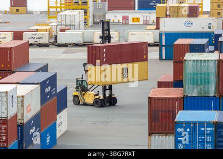 Carrello elevatore che solleva un contenitore di spedizione nel molo di Wellington, container di sollevamento per carrelli elevatori Foto Stock