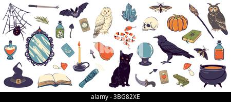 Grande set vettoriale con oggetti da strega. Concetto di stregoneria, esoterico. Illustrazione con specchio, calderone, cranio, pozione, corvo, cristallo, pipistrello, gatto nero, candela, ragno, web, palla di fortuna per Halloween. Illustrazione Vettoriale