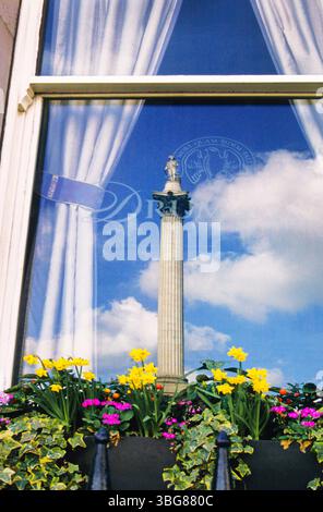 Trafalgar Square, Nelson's Column, Londra, Inghilterra. Attrazione turistica. Visite turistiche storiche. Riquadro finestra hotel Reflection. Fiori primaverili della finestra Foto Stock