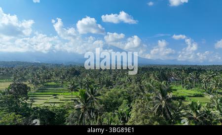 Una splendida vista aerea di lussureggianti risaie a terrazze e palme con il maestoso Monte Rinjani che si innalza attraverso le nuvole, adagiato contro un vibrante cielo blu. Foto Stock
