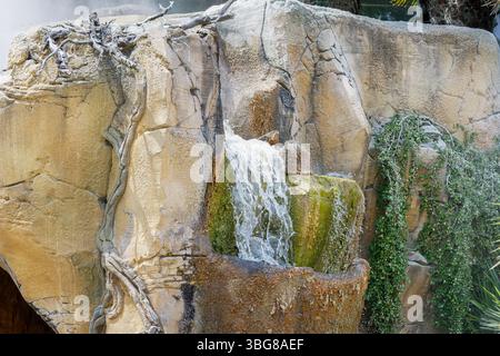 Una piccola cascata si estende su una scogliera rocciosa adornata da vigne verdi. Foto Stock