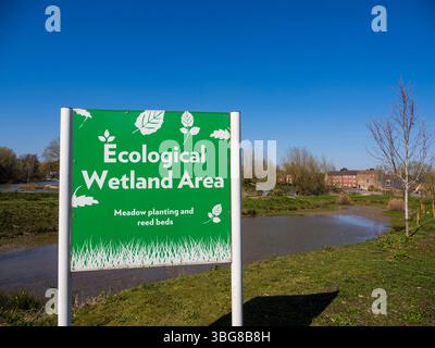 Ecological Wetland area, Marshland, Westbury, Wiltshire, Inghilterra, REGNO UNITO, REGNO UNITO. Foto Stock