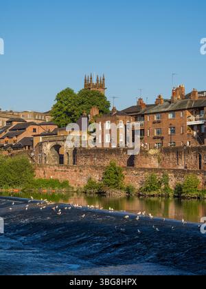 Weir sul fiume Dee, con Bridge Gate, e Chester Cathedral, Chester, Cheshire, Inghilterra, Regno Unito, Gran Bretagna. Foto Stock
