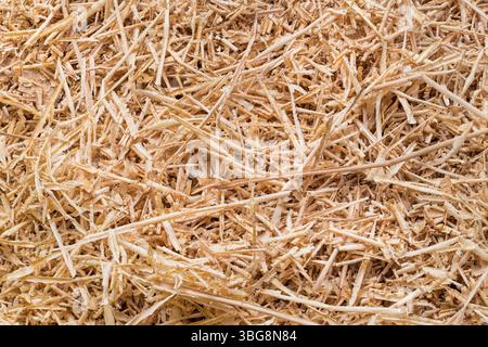 Trucioli di legno lunghi e sottili di rifiuti di lavorazione del legno su fondo astratto marrone chiaro. Consistenza beige del sottoprodotto della carpenteria dalla piallatura, dalla sagomatura o dall'instradamento Foto Stock