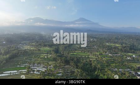 Una vista aerea mozzafiato delle lussureggianti risaie a terrazze si dispiega sotto la maestosa silhouette del Monte Rinjani, l'iconico vulcano Lombok. Le nuvole nebbiose si avvolgono Foto Stock