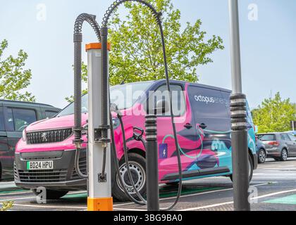 Vista dal lato anteriore a lato di un furgone elettrico Octopus rosa e blu che viene caricato in un parcheggio del supermercato di Sainsbury, Regno Unito. Foto Stock