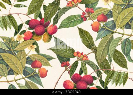 Motivi botanici con frutti tropicali e vegetazione verde. Stile disegnato a mano con un tocco rustico, ideale per sfondi a tema naturale. Foto Stock