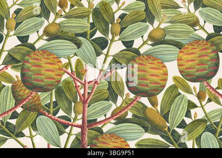 Motivi botanici con frutti tropicali e vegetazione verde. Stile disegnato a mano con un tocco rustico, ideale per sfondi a tema naturale. Foto Stock