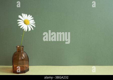 Vaso di vetro di fiore bianco su tavola. sfondo parete verde. oggetto minimo Foto Stock