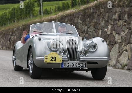 Rally di auto d'epoca Suedtirol-Classic a scena / alto Adige 2014, Jaguar XK 120 Roadster sulla Labersstrasse in salita allo svincolo per Landhaus Wege Foto Stock