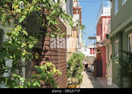 Estate del villaggio Shek o di Hong Kong Foto Stock